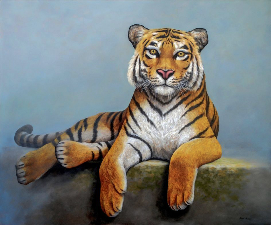 Tiger - Tigre