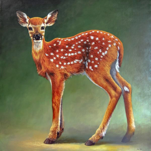 Fawn - Cerbiatto