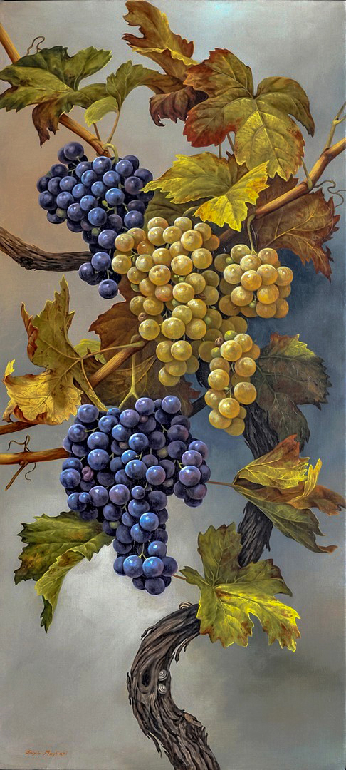 Uva - Grapes